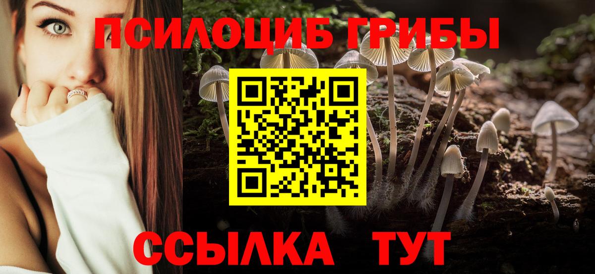 Галлюциногенные грибы GOLDEN TEACHER  Вход с VPN  Амурск  Псилоцибиновые грибы Magic Shrooms 